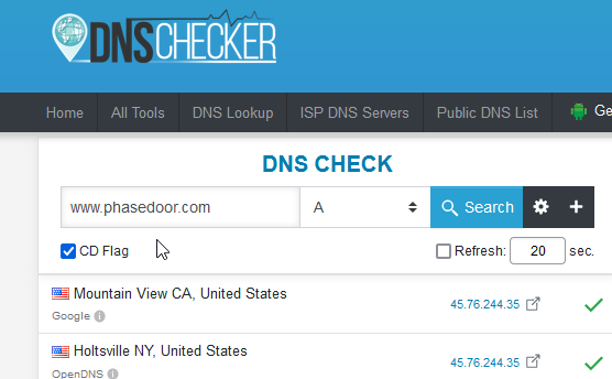 CD flag checked on DNSChecker.org